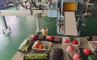 力行蔬菜水果保鮮膜包裝機